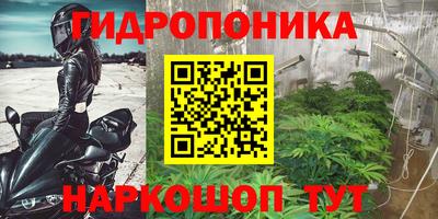 ГАЛЛЮЦИНОГЕННЫЕ ГРИБЫ Краснодар